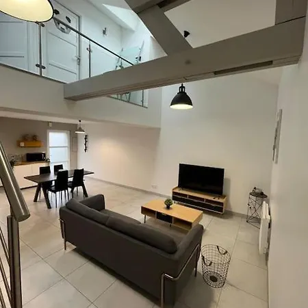 La Maison Du Bonheur 70 M² Saint-Amand-les-Eaux